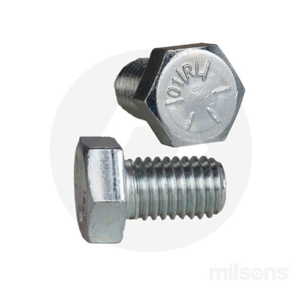 Set-Screw-SS8C5-8X1Z