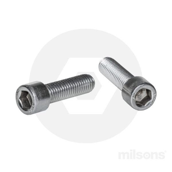 Socket Head Cap Screw SS